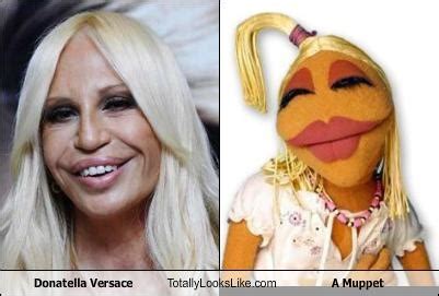 muppets donatella versace|Donatella Versace meme.